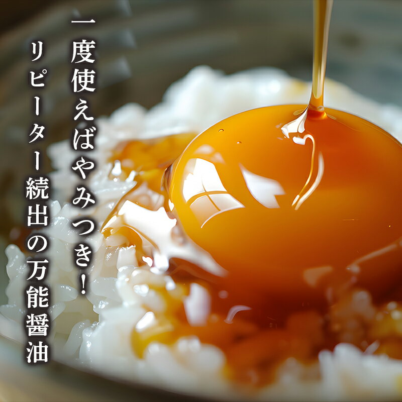 【ふるさと納税】うま味醤油 200ml×3本 ： 旨味調味料 醤油 しょう油 調味料 旨味 うまみ しょうゆ TKG 料理 調理 キャンプ BBQ アウトドア 和食 洋食 隠し味 これだけ 美味しい うまい 人気 リピーター 京都 舞鶴 炭火串焼 灯志 サムネイル2