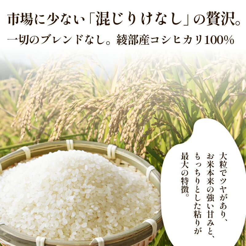 【ふるさと納税】【令和7年産】コシヒカリ 5kg 10kg 定期便 京都府産 白米 玄米 選べる回数 国産米 お米 ごはん 綾部市 - 画像2
