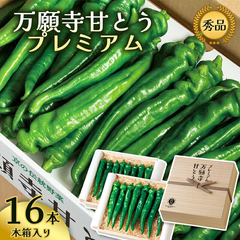 プレミアム 万願寺甘とう 16本入 木箱入【 数量限定 】【 京都産 節ごとの味わいを楽しむ特別選果 京のブランド産品 京野菜 万願寺 まんがんじ 野菜 夏野菜 化粧箱 贈答 贈り物 ギフト 贈り物 お土産 手土産 JA 京都 綾部 】