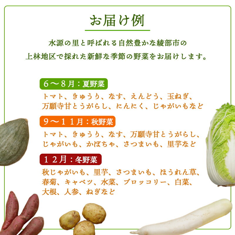 【ふるさと納税】京都府産 季節の野菜セット 5〜7品目【 綾部 京都 野菜セット 野菜 旬 野菜詰め合わせ 産地直送 食べ比べ 国産 季節の野菜 詰め合わせ セット 】 - 画像2
