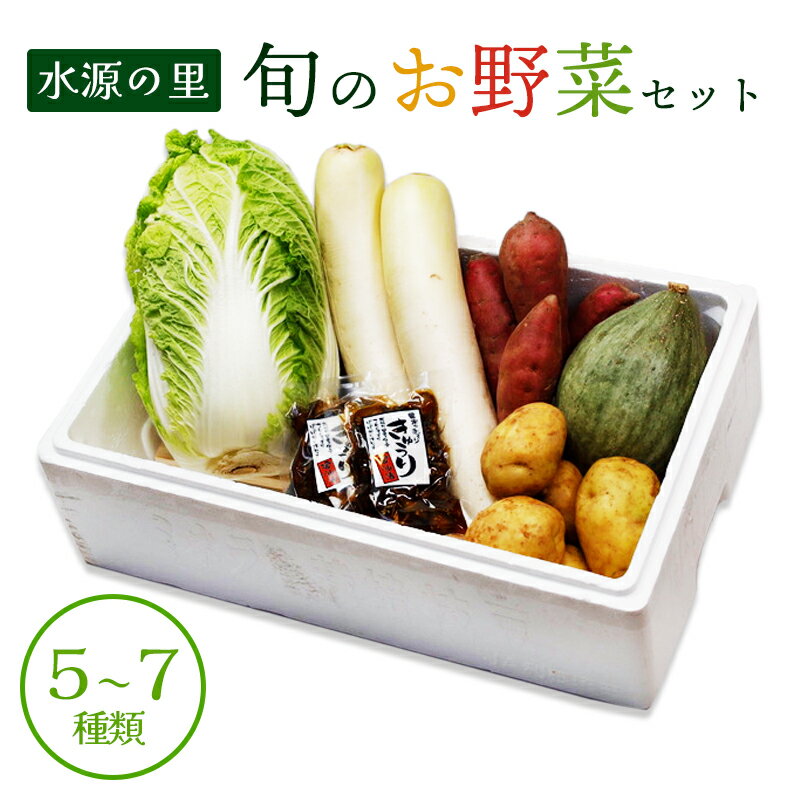 京都府産 季節の野菜セット 5〜7品目【 綾部 京都 野菜セット 野菜 旬 野菜詰め合わせ 産地直送 食べ比べ 国産 季節の野菜 詰め合わせ セット 】