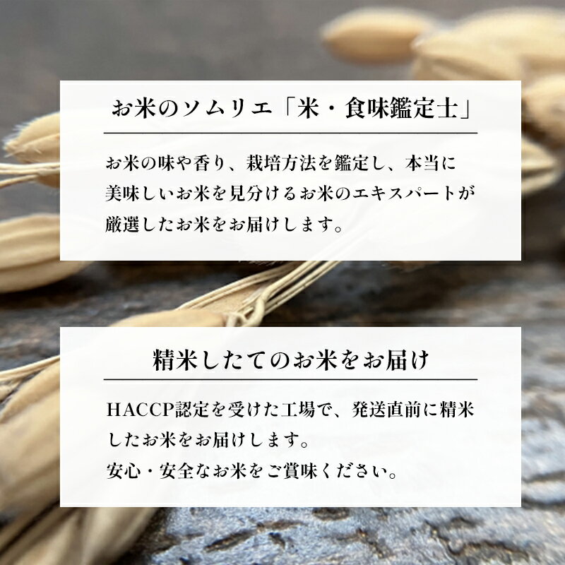 【ふるさと納税】【令和7年産】京都府産 コシヒカリ 10kg（5kg×2） 白米 精米 丹波産 綾部米 国産米 お米 ごはん 京都 綾部市 - 画像2