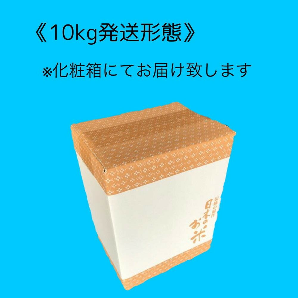 【ふるさと納税】【令和7年産】京都府産 コシヒカリ 10kg（5kg×2） 白米 精米 丹波産 綾部米 国産米 お米 ごはん 京都 綾部市 - 画像3