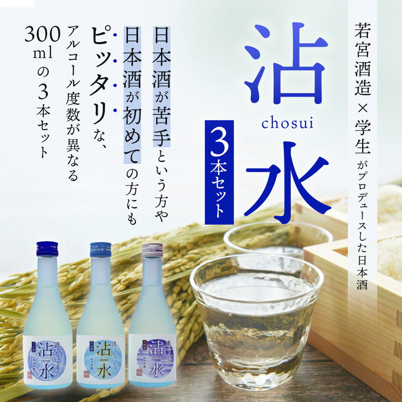 【ふるさと納税】日本酒 沾水（Chosui）3本セット（14度・15度・16度 各300ml）【 日本酒 酒 若宮酒造 贈り物 国産 プレゼント ギフト 贈答 こだわり 特産品 オリジナル 綾部 京都 】 サムネイル2