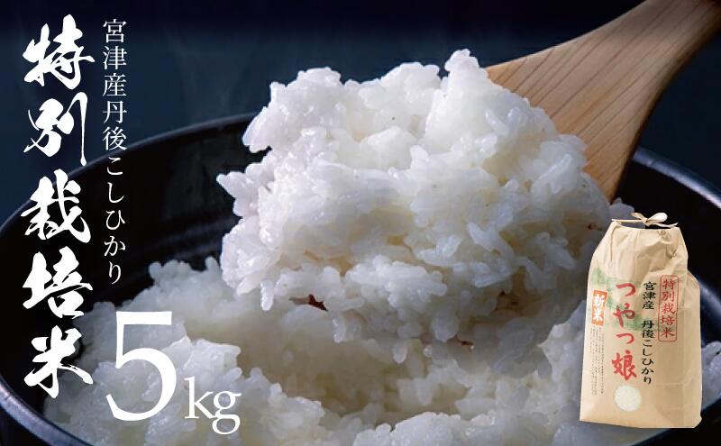 【ふるさと納税】【令和7年産】【産地直送】特別栽培米 宮津産丹後コシヒカリ「つやっ娘」5kg 〈2025年10月以降順次発送〉 お米　お届け：2025年10月中旬～2026年5月下旬 - 画像2