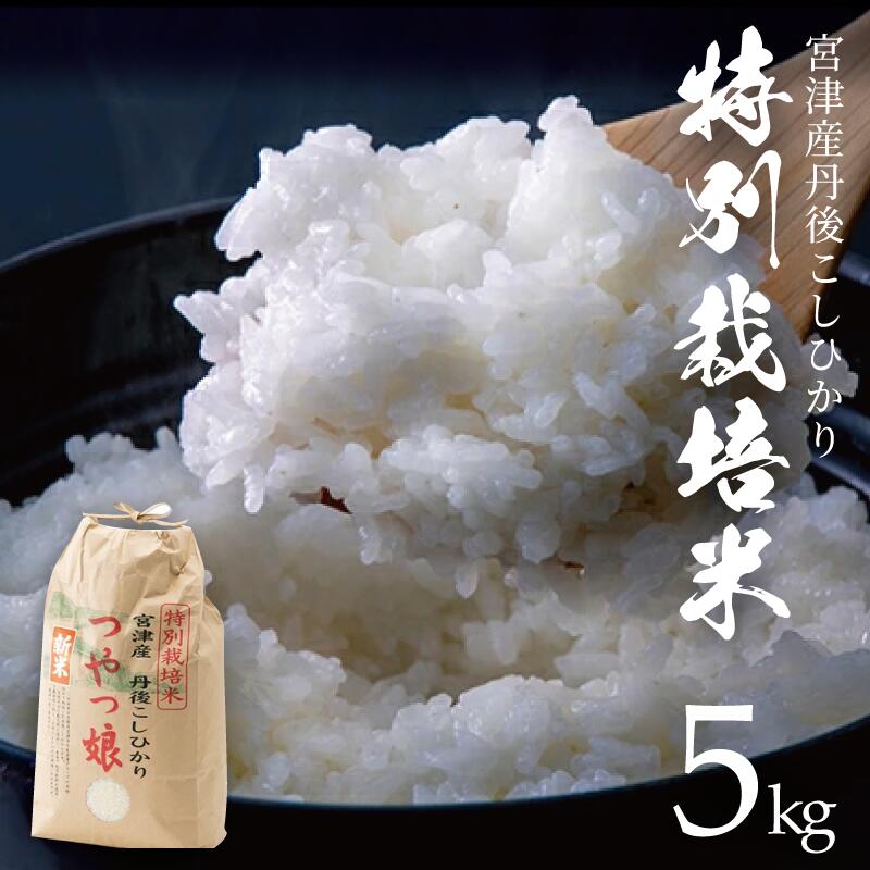 【令和7年産】【産地直送】特別栽培米 宮津産丹後コシヒカリ「つやっ娘」5kg 〈2025年10月以降順次発送〉 お米　お届け：2025年10月中旬～2026年5月下旬