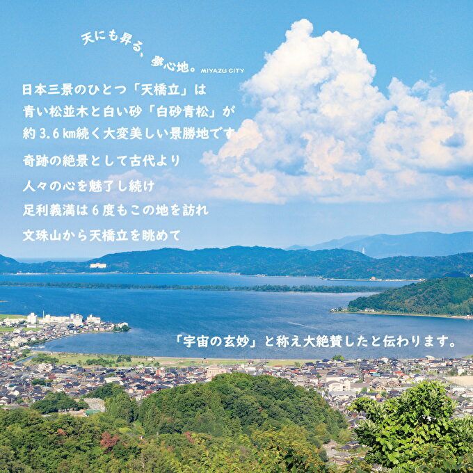 【ふるさと納税】宮津市内の旅館組合施設利用可 宿泊・食事補助券C 京都 天橋立 旅行 宿泊 夏休み 冬休み 家族 ペア 友達 記念日 海水浴 温泉 カニ 蟹 ブリ 城崎温泉 京丹後 京都府 近畿 宿泊券 お食事券 体験 飲食店 旅館 9枚 9,000円相当 サムネイル3