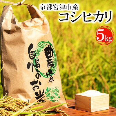 令和7年産 京都宮津市産コシヒカリ 5kg お米 白米 精米 コシヒカリ 5キロ 送料無料 ギフト ごはん ご飯 おにぎり お弁当