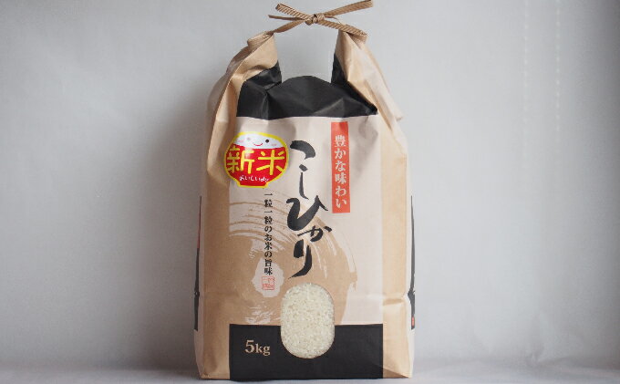 【ふるさと納税】令和7年産 京都宮津市産コシヒカリ 5kg お米 白米 精米 コシヒカリ 5キロ 送料無料 ギフト ごはん ご飯 おにぎり お弁当 - 画像3