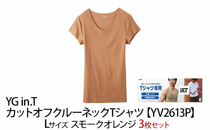 【ふるさと納税】グンゼ YG in.T カットオフクルーネックTシャツ【YV2613P】Lサイズ スモークオレンジ3枚セット GUNZE　 ファッション 服 男性 メンズ インナー サムネイル2