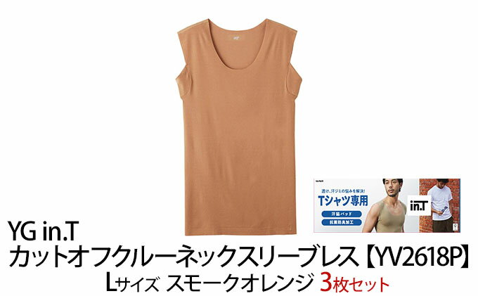 【ふるさと納税】グンゼ YG in.T カットオフクルーネックスリーブレス【YV2618P】Lサイズ スモークオレンジ3枚セット GUNZE　 ファッション 服 男性 メンズ インナー サムネイル2