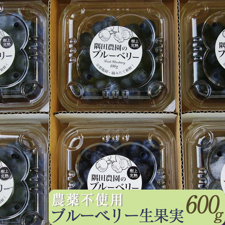 【先行予約】＜すだ農園＞栽培期間中農薬不使用 朝摘み ブルーベリー 生果実 600g◇ ｜ 果実 新鮮フルーツ ※北海道・沖縄・離島への発送不可 ※2026年7月上旬～8月中旬頃に順次発送予定