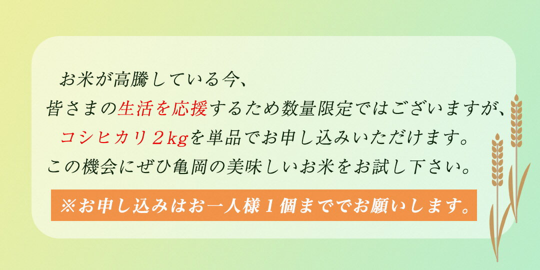 【ふるさと納税】米 定期便 2kg(コシヒカリ) 旬の野菜7～10品セット 1回 6回 12回 京都 京都丹波/亀岡産 季節の野菜 詰め合わせ≪産地直送 直売所 令和7年産 6ヶ月 12ヶ月 ふるさと納税野菜 京野菜 訳あり 生活応援 新米≫※配送不可地域あり サムネイル3