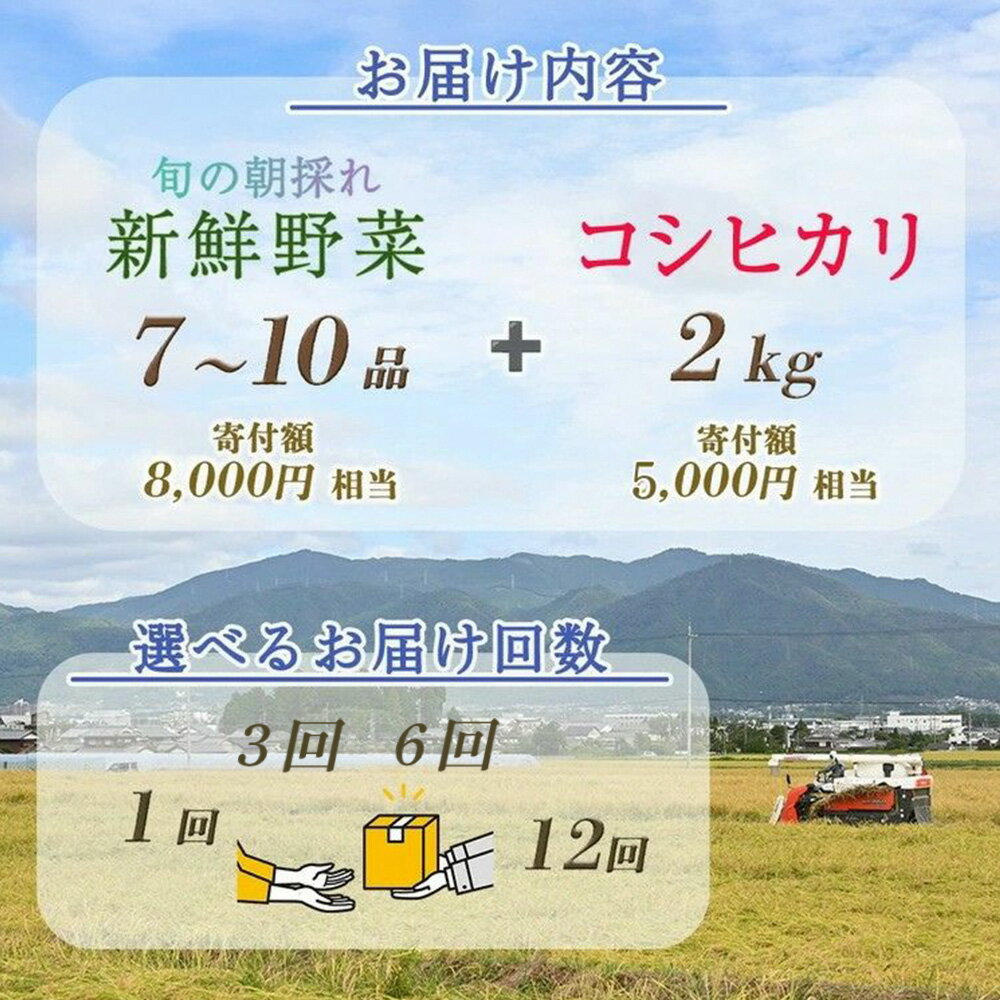 【ふるさと納税】【訳あり 生活応援 3/31迄 寄附額改定】【米 野菜 定期便】コシヒカリ 2kg&旬の野菜7～10品セット 1回 3回(毎月/隔月) 6回 12回 京都 佐伯の里 丹波/亀岡産 季節の野菜 詰め合わせ｜産地直送 直売所 令和7年産 3ヶ月 6ヶ月 12ヶ月 京野菜 ※配送不可地域あり - 画像3