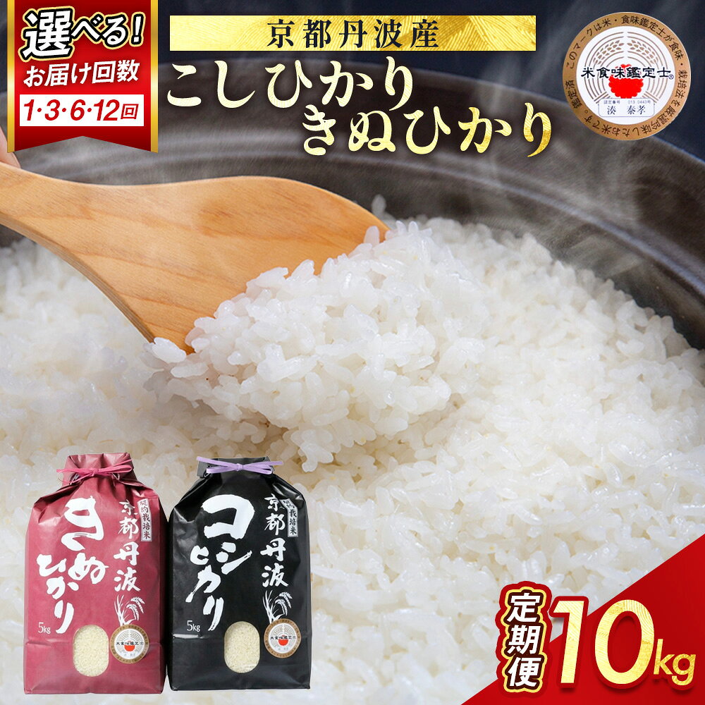 【期間限定 生活応援】京都丹波米 定期便 10kg（5kg×2）［コシヒカリ5kg キヌヒカリ5kg］1回 3回 6回 12回 白米 3ヶ月 6ヶ月 12ヶ月 食べ比べ 米・食味鑑定士厳選｜京都 ふるさと納税米 ふるさと納税定期便 ※配送不可地域あり【3/31迄 寄附額改定】