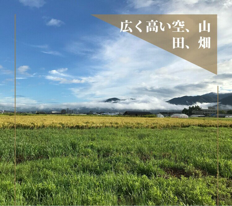 【ふるさと納税】宿泊券 一棟貸し 素泊まり 1名様 1泊2日【古民家つぐみ】京都 丹波 亀岡 古民家 農家民宿 昭和レトロ 1日1組限定 サムネイル3