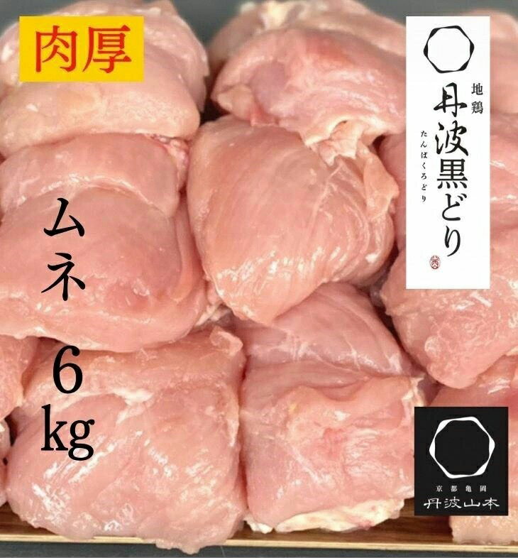 【市制70周年記念】【選べる発送時期】訳あり 地鶏 丹波黒どり ムネ肉 6kg 業務用◇＜京都亀岡丹波山本＞《ふるさと納税 鶏肉 ムネ むね 不揃い 鳥 》
