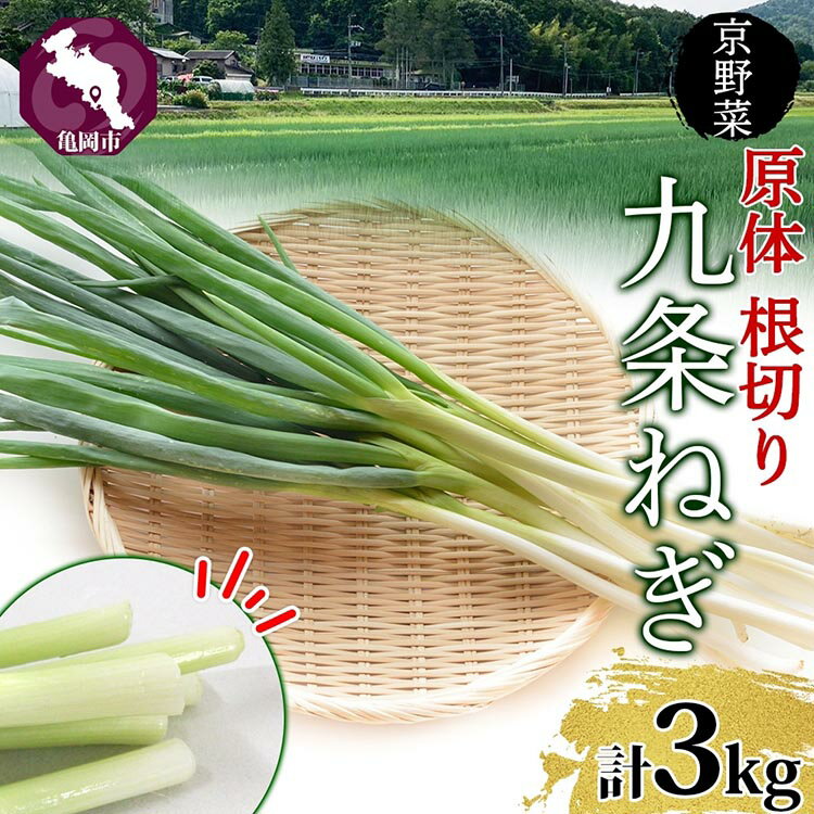 九条ねぎ 原体 根切り 3kg 京のおねぎはん ｜ 京野菜 京都府産 葱 ネギ ラーメン うどん 味噌汁 お鍋 ねぎ焼き 薬味 業務用 常備菜 産地直送 お取り寄せ 熨斗 のし 対応（名入れ不可）送料無料 西陣屋 京都府 亀岡市 ※北海道・沖縄・離島への配送不可