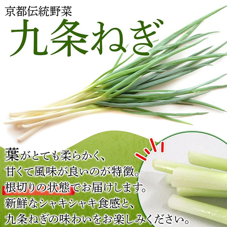 【ふるさと納税】九条ねぎ 原体 根切り 3kg 京のおねぎはん ｜ 京野菜 京都府産 葱 ネギ ラーメン うどん 味噌汁 お鍋 ねぎ焼き 薬味 業務用 常備菜 産地直送 お取り寄せ 熨斗 のし 対応（名入れ不可）送料無料 西陣屋 京都府 亀岡市 ※北海道・沖縄・離島への配送不可 - 画像2