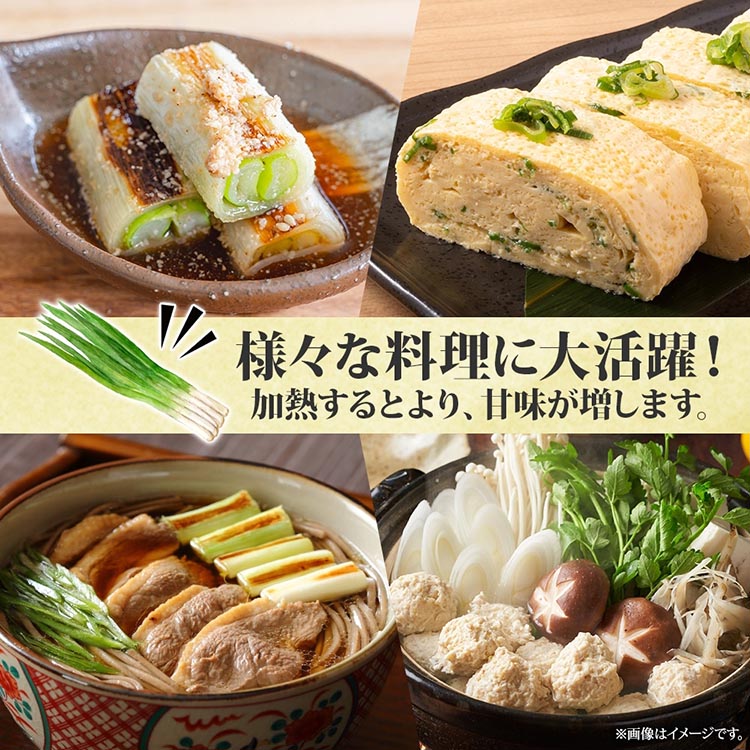 【ふるさと納税】九条ねぎ 原体 根切り 3kg 京のおねぎはん ｜ 京野菜 京都府産 葱 ネギ ラーメン うどん 味噌汁 お鍋 ねぎ焼き 薬味 業務用 常備菜 産地直送 お取り寄せ 熨斗 のし 対応（名入れ不可）送料無料 西陣屋 京都府 亀岡市 ※北海道・沖縄・離島への配送不可 - 画像3