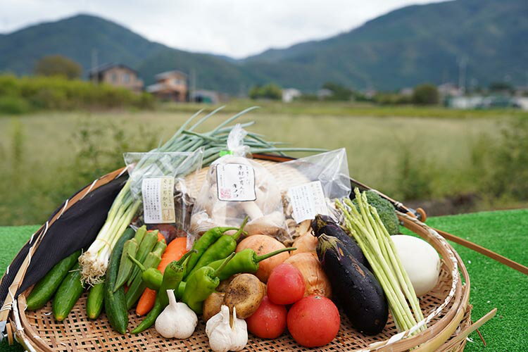 【ふるさと納税】お野菜セット アビトルベジタブル+しいたけ 合計8～10品目詰め合わせセット 季節の野菜 旬の野菜 やさい 新鮮 産地直送 きのこ キノコ 産直 国産 京都 京都産 ※北海道・沖縄・離島への配送不可 - 画像3