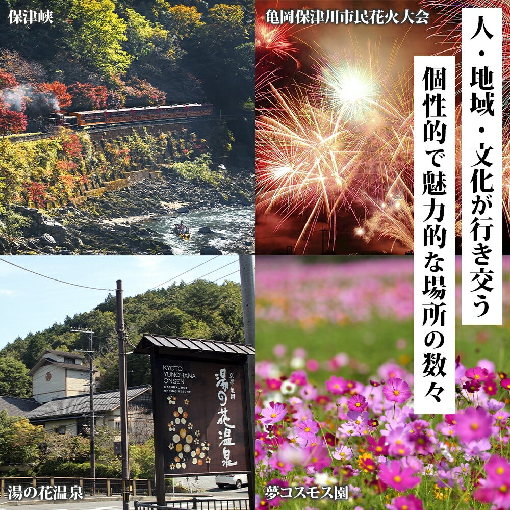 【ふるさと納税】【選べるクーポン】京都 亀岡 旅行クーポン 30,000円～1,500,000円分 後から選べる 旅行Webカタログで使える! 旅行チケット 宿泊チケット 券 温泉 家族 ギフト 宿 旅館 ホテル 老舗 予約 トラベル 旅行券 宿泊券 サムネイル2