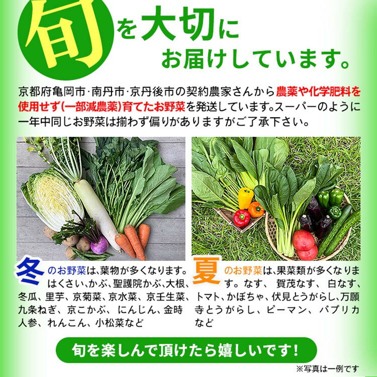 【ふるさと納税】野菜詰め合わせ 有機野菜・京野菜の『京都やおよし』｜野菜 京都産 オーガニック 有機JAS 農薬不使用 減農薬 定期便 野菜セット 野菜生活 ※北海道・沖縄・離島への配送不可 【1回 4回 6回 12回 選べる回数】亀岡市 京丹後市 サムネイル2