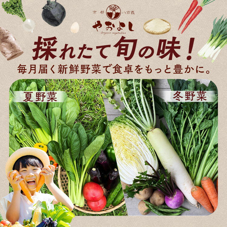 【ふるさと納税】＜有機野菜・京野菜の京都やおよし＞野菜詰め合わせ 選べる内容 +米2kg/+平飼卵10個/+牛乳600ml/+牛乳1.8L【選べる回数 通常便(1回) 4回定期便 6回定期便 12回定期便】オーガニック 自然栽培 傷 不揃い 規格外 - 画像2