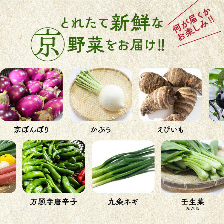 【ふるさと納税】旬の京野菜 レギュラーコース/スペシャルコース 選べるお届け回数 1回・3回・6回・12回 ≪定期便 京野菜セット 詰め合わせ ふるさと納税 野菜 送料無料≫ ※沖縄・離島・諸島へのお届け不可 サムネイル2