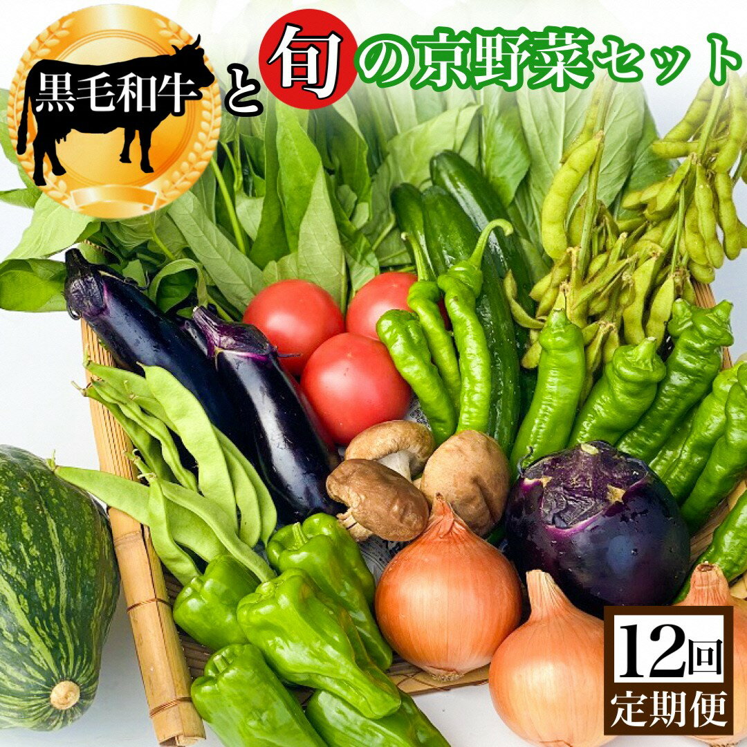 和牛と旬の京野菜 定期便 12回 毎月お届け 京都ハバネロの里｜黒毛和牛 野菜 定期便 詰合せ 京都 京野菜 丹波 和牛 牛肉 セット 詰め合わせ 減農薬 有機栽培 有機野菜 旬 新鮮 冷蔵 直送 ※沖縄・離島・諸島へのお届け不可