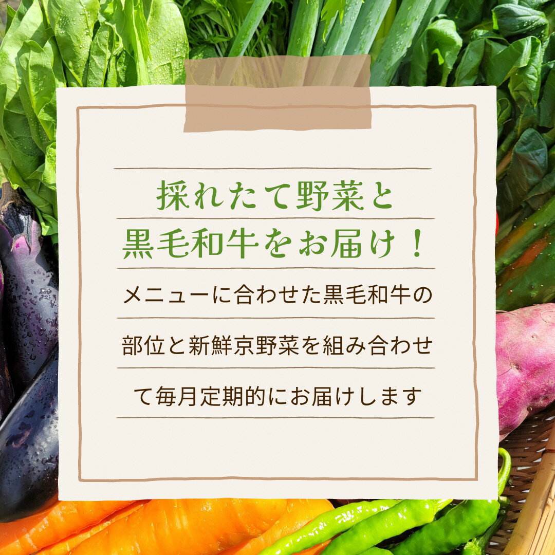 【ふるさと納税】和牛と旬の京野菜 定期便 12回 毎月お届け 京都ハバネロの里｜黒毛和牛 野菜 定期便 詰合せ 京都 京野菜 丹波 和牛 牛肉 セット 詰め合わせ 減農薬 有機栽培 有機野菜 旬 新鮮 冷蔵 直送 ※沖縄・離島・諸島へのお届け不可 - 画像3