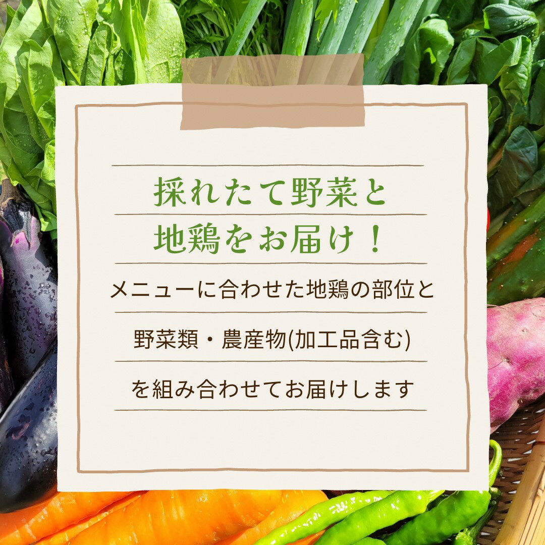 【ふるさと納税】地鶏と旬の京野菜 定期便 12回 毎月お届け 京都ハバネロの里｜地鶏 丹波黒どり 野菜 詰合せ 定期便 12ヶ月 京都 京野菜 丹波 地鶏 鶏肉 セット 詰め合わせ 減農薬 有機栽培 有機野菜 旬 新鮮 冷蔵 直送 ※沖縄・離島・諸島へのお届け不可 - 画像3