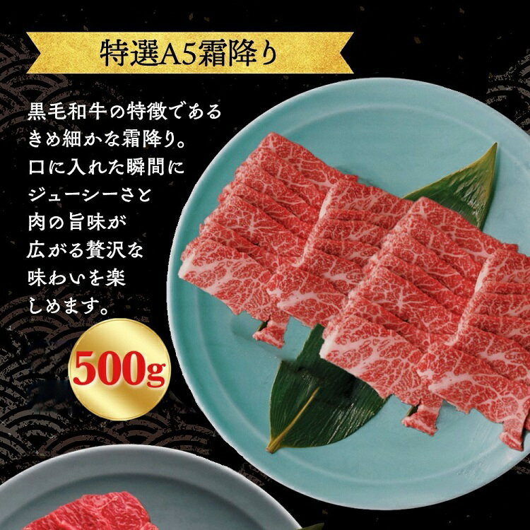 【ふるさと納税】【高評価】京都産黒毛和牛 焼肉『A5 特上霜降り』『 A4A5 特上赤身』500g ハーフ(250g×2) 食べ比べ 選べる 冷凍 京の肉ひら山≪焼肉 丹波産 和牛 黒毛和牛 牛肉 亀岡牛 ふるさと納税牛肉 訳あり 生活応援 厳選≫ サムネイル2