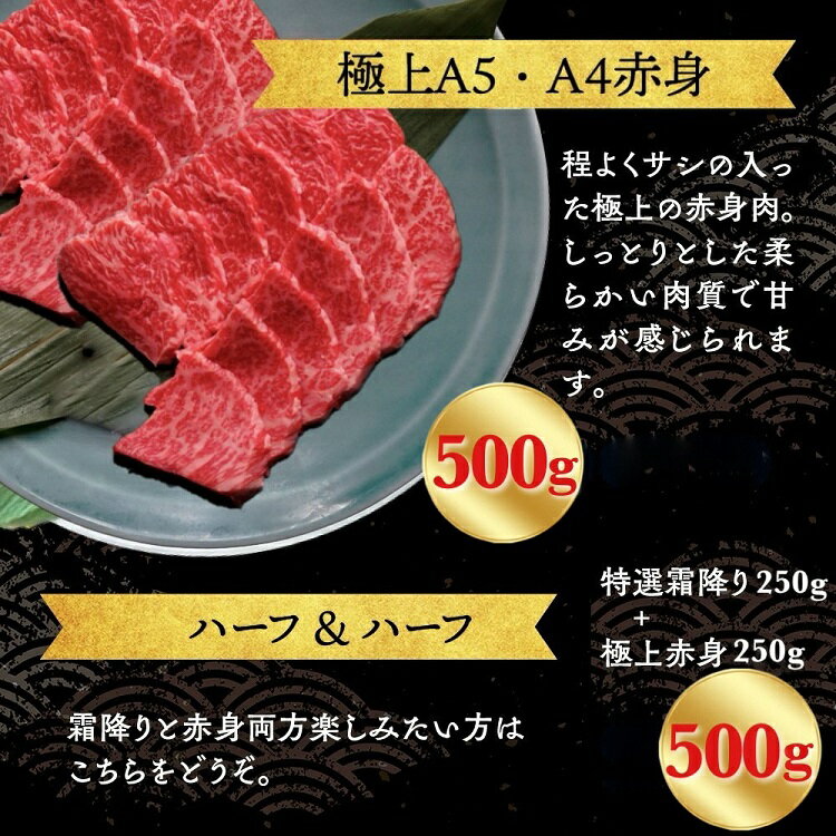 【ふるさと納税】【高評価】京都産黒毛和牛 焼肉『A5 特上霜降り』『 A4A5 特上赤身』500g ハーフ(250g×2) 食べ比べ 選べる 冷凍 京の肉ひら山≪焼肉 丹波産 和牛 黒毛和牛 牛肉 亀岡牛 ふるさと納税牛肉 訳あり 生活応援 厳選≫ サムネイル3