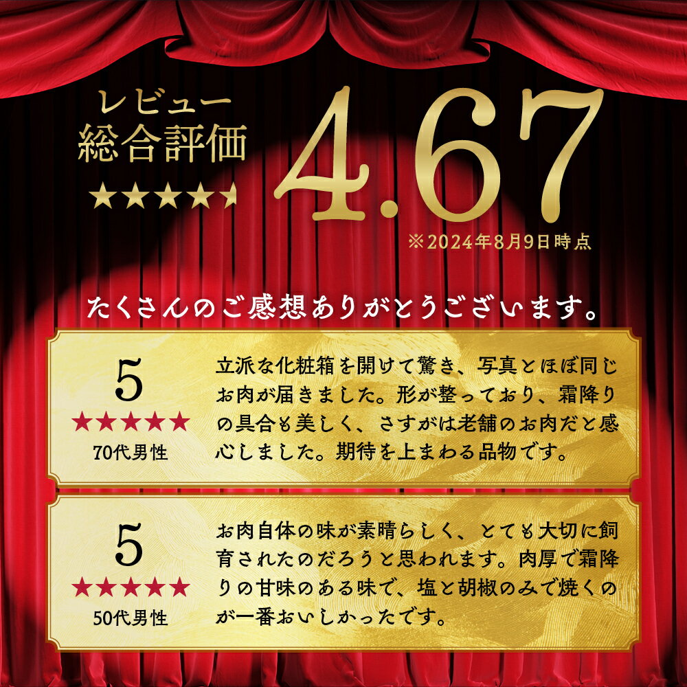 【ふるさと納税】訳あり 京都産黒毛和牛(A4,A5) サーロインステーキ 200g×2～6枚 京の肉 ひら山 厳選≪緊急支援 和牛 牛肉 亀岡牛 京都肉 国産 京都 丹波産 ふるさと納税 ステーキ ≫ サムネイル2