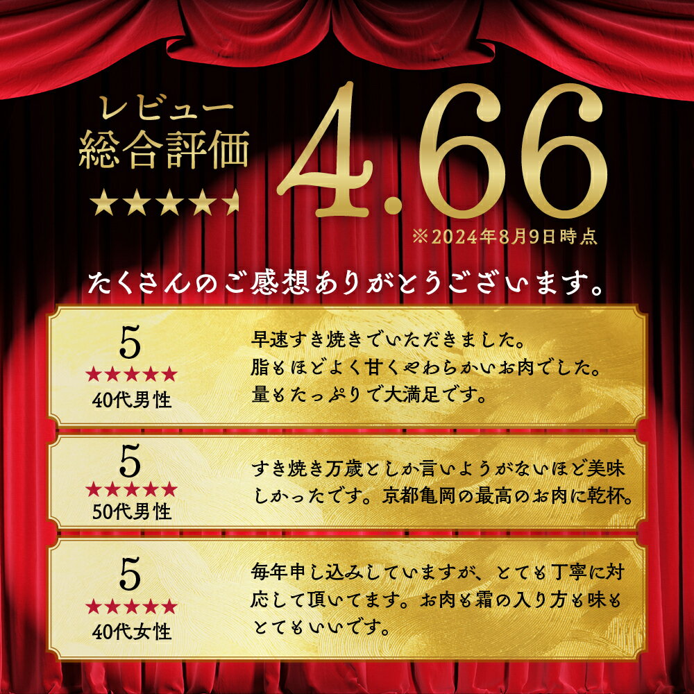 【ふるさと納税】【発送時期が選べる】黒毛和牛 A4 A5 霜降り スライス 400g/600g/1.2kg(600g×2) 冷凍 京の肉ひら山《訳あり 生活応援 和牛 牛肉 焼肉 すき焼き しゃぶしゃぶ 丹波産 京都産 亀岡牛 楽天限定 ふるさと納税和牛 12月発送》亀岡市 サムネイル3