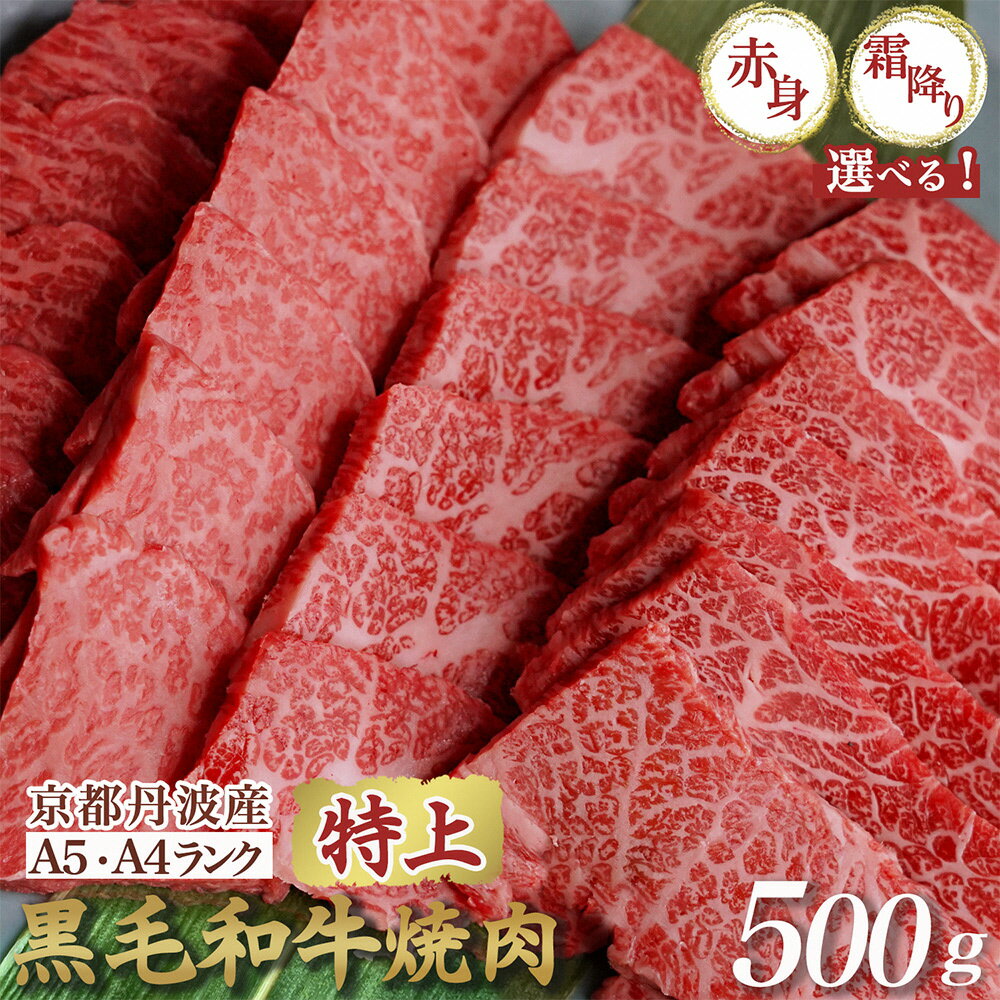 【高評価】京都産黒毛和牛 焼肉『A5 特上霜降り』『 A4A5 特上赤身』500g ハーフ(250g×2) 食べ比べ 選べる 冷凍 京の肉ひら山≪焼肉 丹波産 和牛 黒毛和牛 牛肉 亀岡牛 ふるさと納税牛肉 訳あり 生活応援 厳選≫