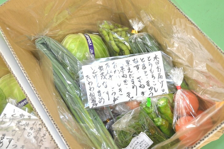 【ふるさと納税】発送時期が選べる 京都丹波・亀岡産野菜セット〈JA京都 ファーマーズマーケットたわわ朝霧〉≪発送月選択 ふるさと納税野菜≫楽天限定 サムネイル2