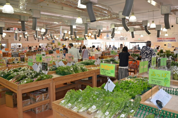 【ふるさと納税】発送時期が選べる 京都丹波・亀岡産野菜セット〈JA京都 ファーマーズマーケットたわわ朝霧〉≪発送月選択 ふるさと納税野菜≫楽天限定 サムネイル3