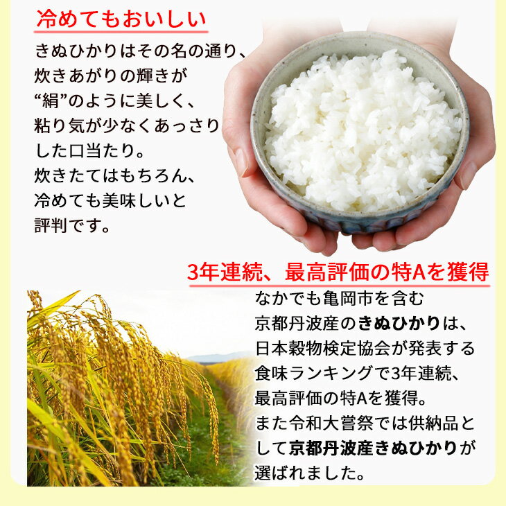 【ふるさと納税】発送時期が選べる 無洗米 5kg・10kg (5kg×2袋) 選べる 京都丹波産 キヌヒカリ 令和7年産 ※受注精米《米 白米 コメ こめ きぬひかり 5キロ 10キロ ふるさと納税 無洗米 京都 亀岡産 大嘗祭供納品種 12月発送》※北海道・沖縄・離島への配送不可 サムネイル3