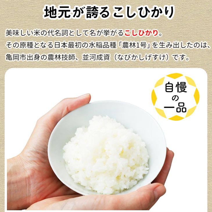 【ふるさと納税】【寄附額改定】【令和7年産】 京都丹波米 コシヒカリ 定期便 10kg 1回/3回/6回/12回 白米 3ヶ月 6ヶ月 12ヶ月 米・食味鑑定士厳選｜京都 丹波産 こしひかり 契約栽培米 ふるさと納税米≫ ※配送不可地域あり【～3月31日まで】 - 画像3