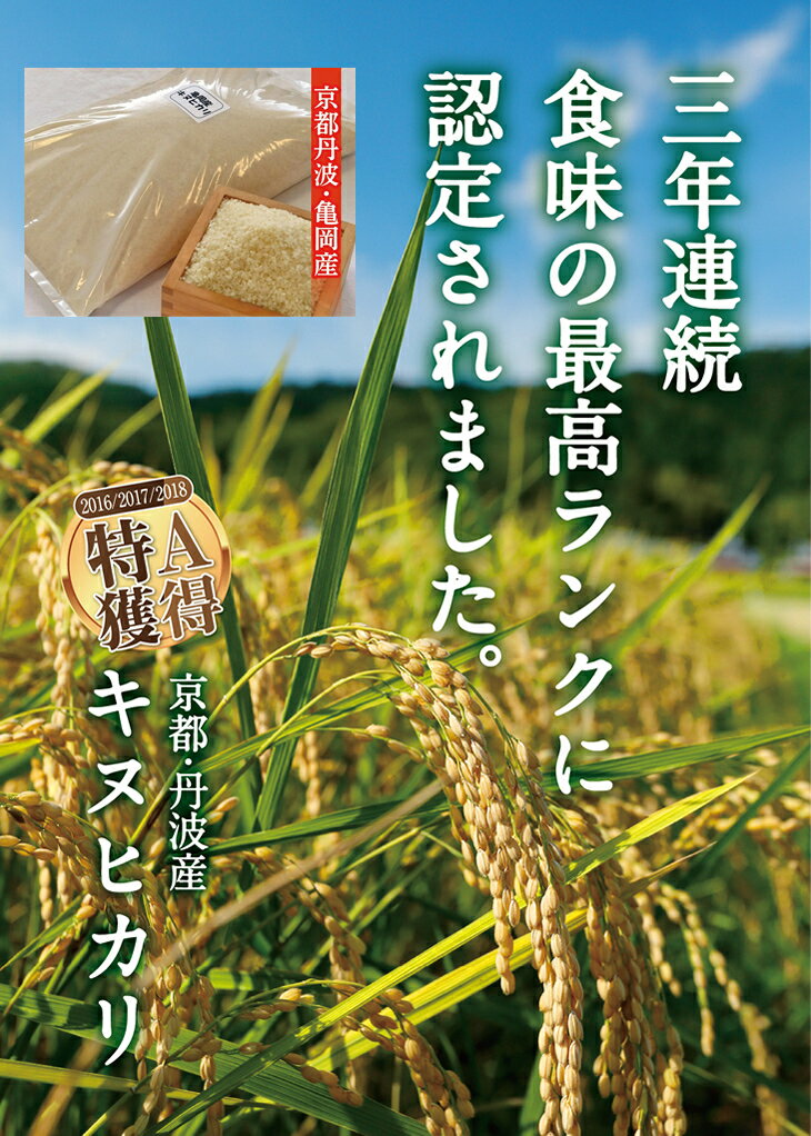【ふるさと納税】令和7年産 米 定期便 京都丹波産キヌヒカリ 10kg(5kg×2袋) 発送時期が選べる＜JA京都たわわ朝霧＞≪農協 白米 精米 産地直送 送料無料 簡易包装 生活応援 人気 国産 きぬひかり≫ - 画像3