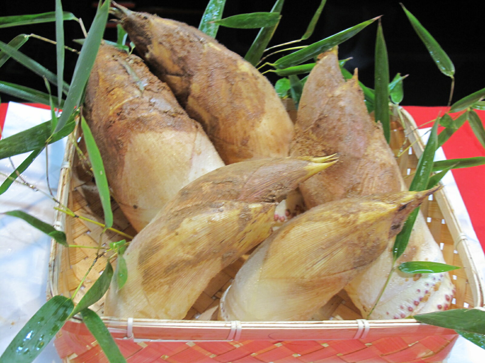 ［先行予約］京野菜「京筍」採れ採れ発送（特選上物3kg）◇《タケノコ たけのこ》※2026年3月下旬頃から順次発送予定※北海道・沖縄・離島への発送不可