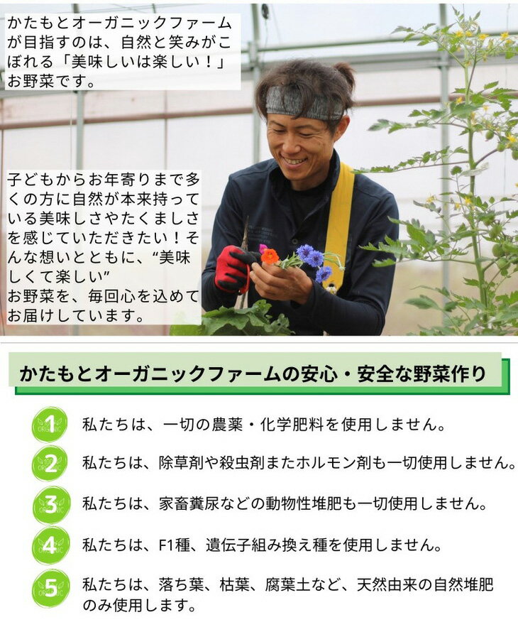 【ふるさと納税】【6回定期便】京都府・亀岡産 自然農法＆農薬を使わずに育てた体も心も喜ぶ、かたもとオーガニックファームの季節のお野菜セット 毎回10〜20品目 ※離島への発送不可 - 画像3