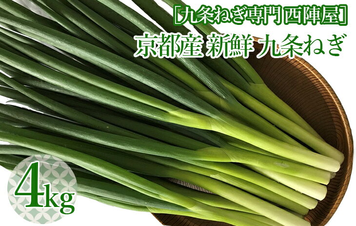 ［九条ねぎ専門 西陣屋］京都産 新鮮 九条ねぎ たっぷり 4kg《京都ブランド 京野菜 九条ネギ 葱》※離島への配送不可（北海道、沖縄本島は配送可能）