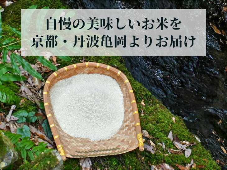 【ふるさと納税】【令和7年産/令和8年産 新米 先行予約】米 定期便 5kg 1回 6回 12回 京都丹波産 コシヒカリ 佐伯の里の源流米 希少 産地直送≪予約 白米 5キロ 1ヶ月 6ヶ月 12ヶ月 こしひかり 低農薬米 減農薬米≫ ※北海道・沖縄・離島の配送不可 サムネイル2