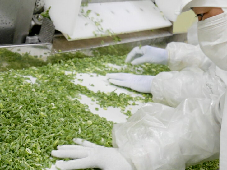 【ふるさと納税】＜こと京都＞ きざみ 九条ねぎ【冷凍・カップ】1.2kg （50g×24p) 《京都 伝統野菜 ネギ 使い切り 小分け ミニ 紙カップ》※離島への配送不可☆月間MVPふるさと納税賞 第1号（2020年10月）・SDGs未来都市亀岡 サムネイル3