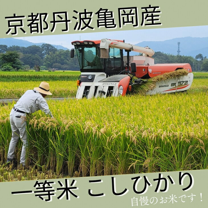 【ふるさと納税】【期間限定 生活応援】【令和7年産】京都丹波米 こしひかり 玄米 30kg 《米 一等米 コシヒカリ 特別栽培米 減農薬》※北海道・沖縄・離島への配送不可 - 画像3
