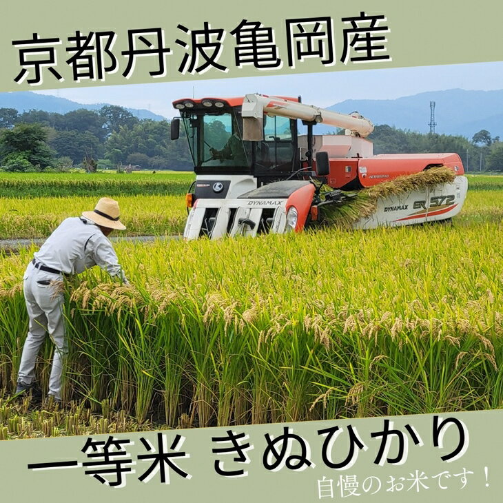 【ふるさと納税】【期間限定 生活応援】【令和7年産】京都丹波米 きぬひかり 玄米 30kg《米 一等米 キヌヒカリ 特別栽培米 減農薬》※北海道・沖縄・離島への配送不可 - 画像3