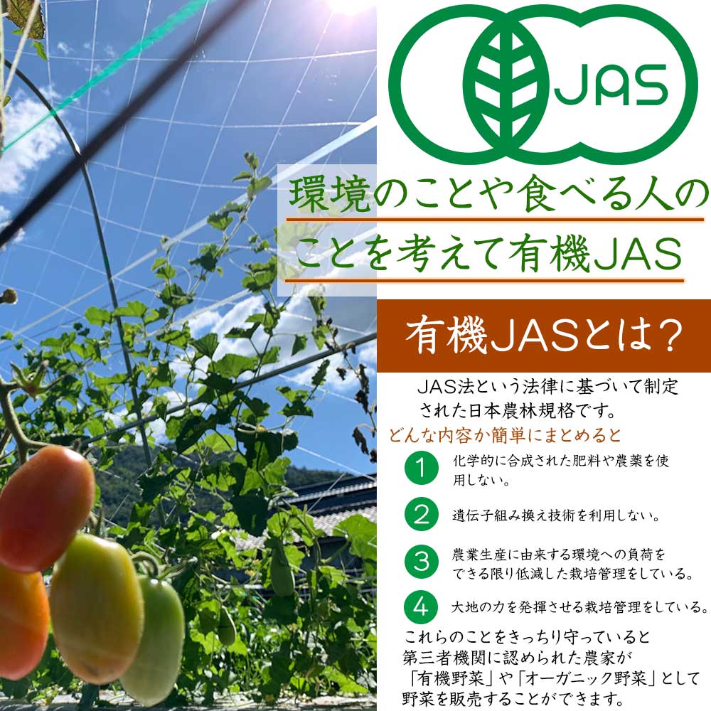 【ふるさと納税】野菜 定期便 6回 12回 選べる 産地直送！有機JAS認定 京野菜・農家のこだわり野菜・新鮮卵など お楽しみセット＜京都・矢田の里＞≪定期便 定期 オーガニック 栽培期間中農薬・化学肥料不使用 定期便 野菜 ふるさと納税野菜≫ サムネイル3